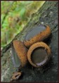/album/vreckate/obrazok-068-bulgaria-s-jpg1/
